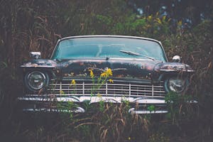 Classic car with rusted exterior surrounded by tall grass, capturing a retro feel.